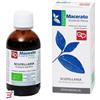 FITOMEDICAL SRL SCUTELLARIA TINTUTA MADRE 50 ML BIO