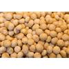 DORiMED Noci Macadamia 100% Naturali Sgusciate Intere Crude Grandi [500g]. Noci Sgusciate Di Macadamia, Frutta Secca Di Grosso Calibro 100% Naturale. Raw Nuts Di Prima Scelta. Snack Genuino, Gustoso - Dorimed