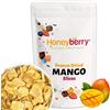 Honeyberry Mango Liofilizzato a Fette 100g - Frutta Liofilizzata - Chips di Mango Disidratato ed Essiccate - Frutta Disidratata e Secca - Mango Croccante per Dolci, Decorazioni, Snack, Frullati e Dessert