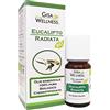 Gisa Wellness - EUCALIPTO RADIATA - Olio Essenziale Bio - 100% Puro e Naturale - [10ml] - Alimentare - Aromaterapia - Cura della Persona - Benessere - Made in Italy