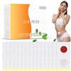 Probuk 30 Pezzi Patch Dimagranti, Cerotti Brucia Grassi per Pancia e Vita, Slimming Patch Anticellulite,Cerotti Dimagranti Efficaci,Traspirante e Confortevole,Aiuto Supporta Una Silhouette Curata