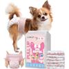 DONO Pannolini per Cani Femmina, 60 pezzi, Pannolino Cane Femmina, Mutandine per il calore, pannolini per gatti incontinenti, super assorbenti, incontinenza, S (22-43 cm)