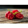 Tûche Semi peperoncino HABANERO In Busta Ermetica MADE IN ITALY Qualità superiore con 95% di germogliazione con istruzioni