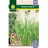M MASCARELL SEMILLAS DESDE 1920 Mascarell Semillas, CITRONELLA (LEMONGRASS), Semi di Erbe da Piantare, per Creare il Proprio Giardino Domestico, 0,1 Grammi