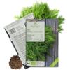 growgreens Semi di aneto biologiche - Semi di erbe aromatiche da coltivare in cucina, sul balcone, sul orto rialzato e in giardino