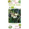 Generico Una pianta di Asimina Triloba su Vaso cm 19 autofertile