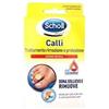 SCHOLL'S SCHOLL CER CALLIF TRATT R/PROT - SCHOLL'S - 924686924