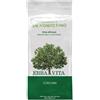 ERBA VITA CURCUMA POLVERE 100G - ERBA VITA - 938906346