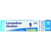 Boiron Lycopodium Clavatum 9Ch Tubo 80 Granuli 4g - BOIRON - 046061661