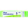 Boiron Rhus Toxicodendron 5Ch Tubo 80 Granuli 4g - BOIRON - 046498046