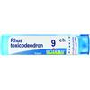 Boiron Rhus Toxicodendron 9Ch Tubo 80 Granuli 4g - BOIRON - 046498085