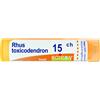 BOIRON RHUS TOXICOD BOI*15CH 80GR4G - BOIRON - 046498147
