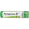BOIRON Laboratoires Boiron Pyrogenium 5ch Rimedio Omeopatico In Granuli - BOIRON - 800024515