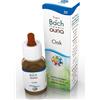 GUNA OAK GUN GTT 10ML - GUNA - 801605080