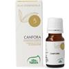 ALTA NATURA ESSENTIA CANFORA OE 10ML - ALTA NATURA - 930467612