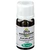 EUCALIPTO OLIO ESSENZIALE 10ML - - 976337055