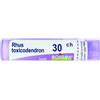 Boiron Rhus Toxicodendron 30Ch Tubo 80 Granuli 4g - BOIRON - 046498299
