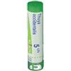 Boiron Thuya Occidentalis 5CH Granuli - BOIRON - 800025393