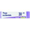 Boiron Thuya Occidentalis 30CH Globuli Tubo Monodose 1g - BOIRON - 800027219