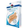 MASTER AID M-AID FORTE ELASTIC 20CER 2FO - MASTER AID - 980253773