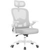 rattantree Sedia Ufficio,Sedia Ergonomica in Altezza con Supporto Lombare Regolabile con Braccioli e Poggiatesta Reversibili,Poltrona Ufficio Traspirante e Regolabile,per Uffici Domestici,Grigio
