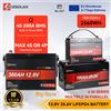 ECGSOLAX Batteria LiFePO4 ECGSOLAX 12V 200AH 24V 100AH con Caricabatterie Gratuito, Batteria al Litio 12.8V con BMS Integrato da 180A, Oltre 6000 Cicli, per Barche, Spedizione Rapida dall'UE