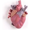 SELETTI LOVE IN BLOOM CUORE ROSSO **09923