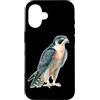 Urban Empyre Custodia per iPhone 16 Falco pellegrino x Falco