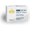 VISUFARMA SpA Visuglican*coll 25d 40+2mg/ml - VISUGLICAN - 024851026