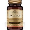 SOLGAR Picozinco 100 tavolette - SOLGAR - 943511992