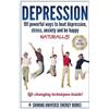 Shining Universe Energy Books Depression (Tascabile)