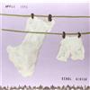 APPLE CORE (Vinyl) Kendl Winter