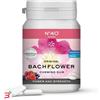 SAN.ECO.VIT. SRL LEMON PHARMA GOMME 40 ENERGIA FIORI DI BACH 60 G