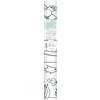 Avenue Mandarine GY078C - Graffy Roll - Rotolo 5m x 35cm - Poster 90g Prestampati, Disegno 50cm ripetuto 10 volte - Poster Gigante da colorare - Tema Ecosistema