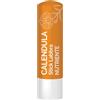 MARCO VITI FARMACEUTICI SpA Marco Viti, Calendula Stick Labbra Nutriente, 4 ml