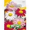 L'ORTOLANO Sementi da fiore di qualità in bustina per uso amatoriale (PIRETRO SEMPLICE IN MISCUGLIO)