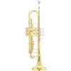 Tromba in Si Bemolle Dorata Tromba in Sib Lucida per Scuola, Concerti, Studenti