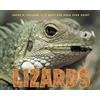 Sneed B. Collar Sneed B. Collard III's Most Fun Book Ever About Liza (Tascabile)