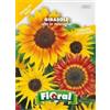 L'ORTOLANO Sementi da fiore di qualità in bustina per uso amatoriale (GIRASOLE ALTO IN MISCUGLIO)