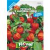 L'ORTOLANO Sementi Da Fiore Di Qualità In Bustina Per Uso Amatoriale (Physalis O Lanterna Cinese)