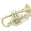 Cornetta in Sib Compatta Cornetta in Si Bemolle Brillante per Scuola di Musica