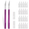 2 Pezzi Cutter Precisione Con 20 Lame, Coltello Artigianale, Coltello Hobby, Col