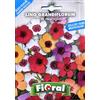 L'ORTOLANO Sementi da fiore di qualità in bustina per uso amatoriale (LINO GRANDIFLORUM IN MISCUGLIO)