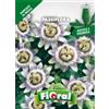 L'ORTOLANO Sementi da fiore di qualità in bustina per uso amatoriale (PASSIFLORA)