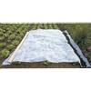 WERKA PRO Velum Invernale Bianco 60g-m2 2 x 10m