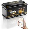 Li Think Batteria Litio LiFePO4 12V 100Ah H190 con Bluetooth, Certificata ECE R10, BMS Integrato da 120A, Protezione a Bassa Temperatura, Batteria al Litio da 1280Wh per Camper CB/IEC 62619