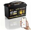Li Think Batteria Litio LiFePO4 12V 100Ah con Bluetooth, IP67, BMS 120A, Certificata ECE R10,CB/IEC 62619, Protezione a Bassa Temperatura, Per Motori Elettrici per la Pesca a Traina, Camper, Barche e Campeggio
