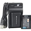 DSTE NP-FV50 Li-ion Batteria (2-Pacco) e Caricabatterie USB Compatibile per Sony HDR-CX220 HDR-CX230 HDR-CX290 HDR-CX330 HDR-CX380 HDR-CX430V HDR-CX900 TD30V HDR-CX260V HDR-CX580V HDR-CX760V HDR-PJ200