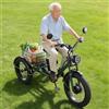 HpJfdsU Triciclo Elettrico per Adulti Con Ruote Fat 24 - 3 Modalità Di Guida, 7 Velocità, Stile Cruiser, Ampio Cestino Portatutto, Display Lcd - Ideale per Shopping E Tempo Libero Black