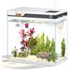 Vehipa Acquario Piccolo Completo, Acquario per Pesci Rossi da 26L